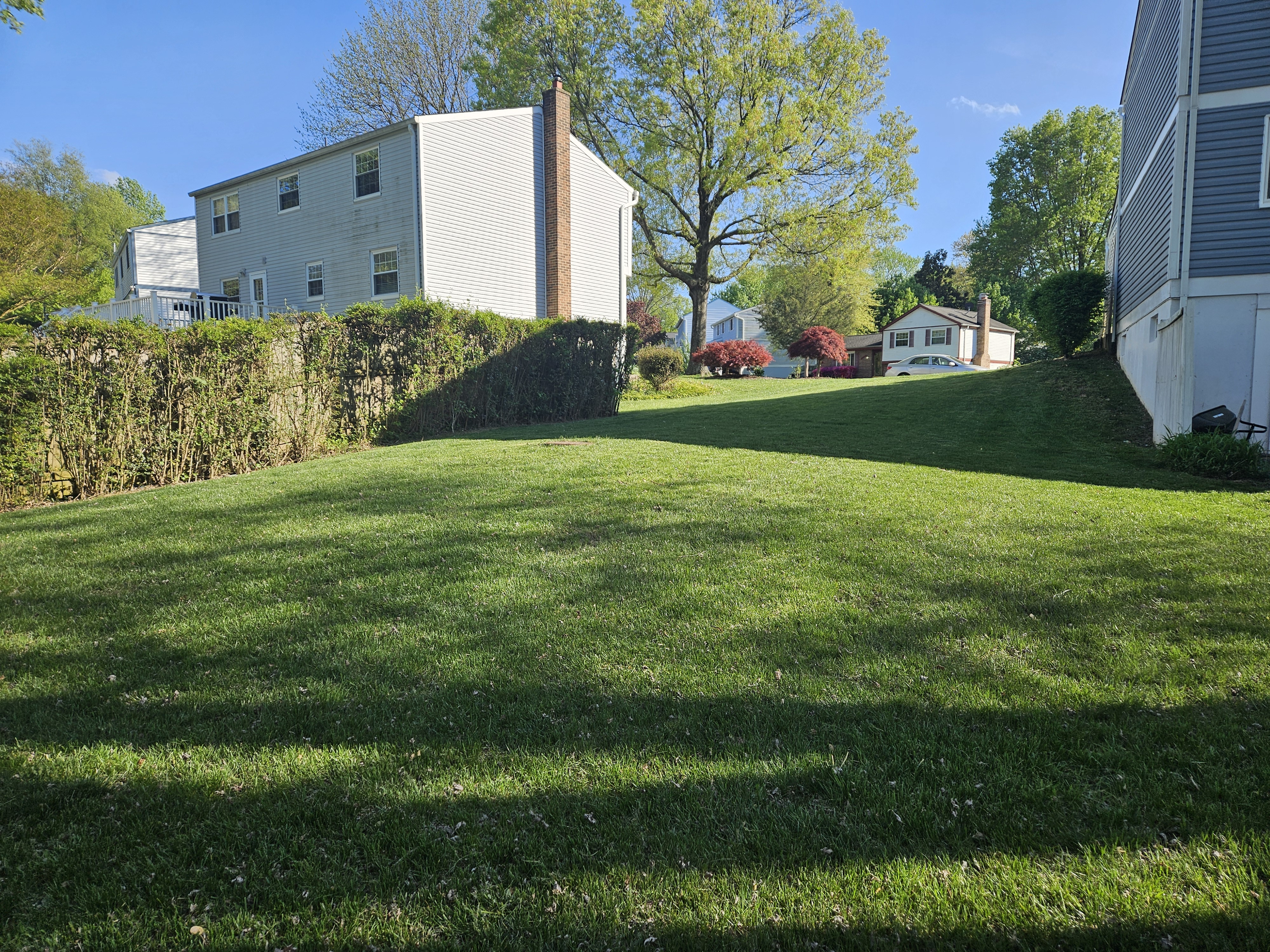 Professional landscaping and garden design